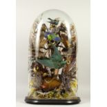 A GOOD VICTORIAN DOMED DISPLAY CASE HOUSING A NATURALISTIC DISPLAY OF EXOTIC BIRDS. 65cms high x
