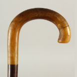 A HORN HANDLED WALKING STICK, with curved handle. 90cm long.