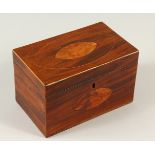 A GEORGE III MAHOGANY AND SATINWOOD INLAID TWO-DIVISION TEA CADDY. 20cm wide.