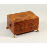 A GEORGE III INLAID MAHOGANY WRITING BOX, with a small drawer and a fitted interior, on brass