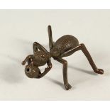 A SMALL BRONZE MODEL OF AN ANT. 5cms long.