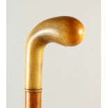 A HORN HANDLED "GOLF PUTTER" MALACCA WALKING STICK. 90cm long.