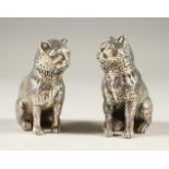 A PAIR OF HEAVY CAST SILVER CAT SALT AND PEPPERS.