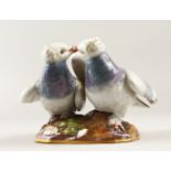 A GOOD MEISSEN PORCELAIN GROUP OF TWO LOVE BIRDS, pecking each other. Cross swords mark in blue,