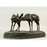 A NATURALISTIC CAST BRONZE GROUP OF TWO DEER, on a shaped marble base. 42cms wide.