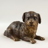 AN AUSTRIAN PAINTED COLD CAST BRONZE DOG INKWELL, with hinged head, with Victorian registration