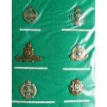 TWO FOLDERS CONTAINING NUMEROUS MILITARY CAP BADGES.