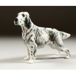 A ROYAL DOULTON ENGLISH SETTER, HN1050.