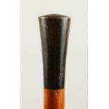 AN EDWARDIAN WALKING CANE with RHINO HANDLE. 89cms long.