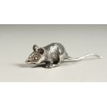 A NOVELTY SILVER MOUSE.