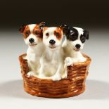A ROYAL DOULTON GROUP OF THREE TERRIER PUPPIES IN A BASKET, HN2588.
