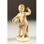 A SMALL 19TH CENTURY MEISSEN CHERUB standing holding a basket of flowers. Cross swords mark in blue.