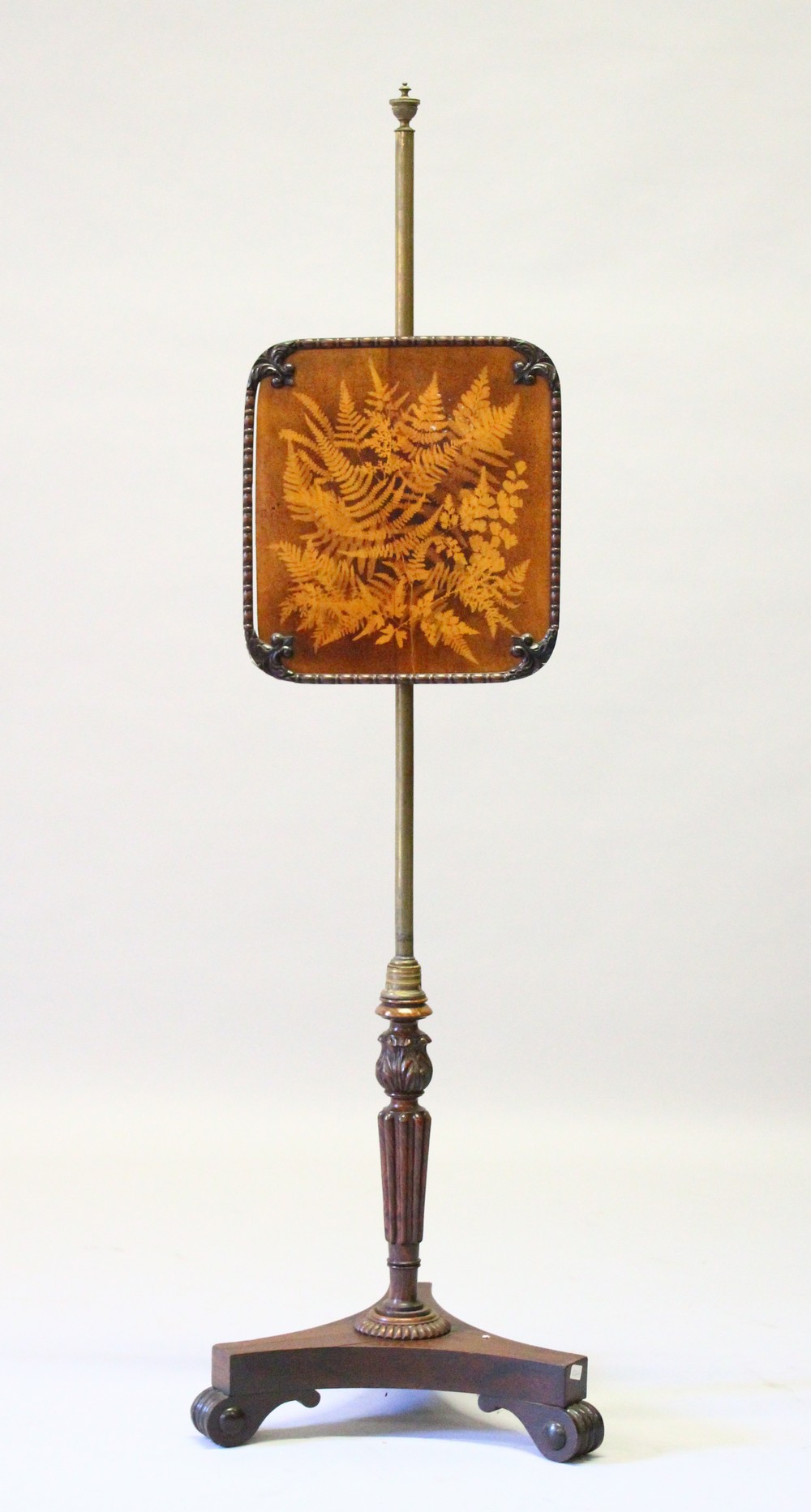 A LATE REGENCY ROSEWOOD POLESCREEN with lacquer fern panel.