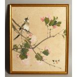 A 19TH CENTURY CHINESE PAINTING ON PAPER OF A BIRD, the bird depicted sat in the branches of a peony