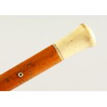 A GOOD VICTORIAN MALACCA CANE with ivory handle. 88cms long.