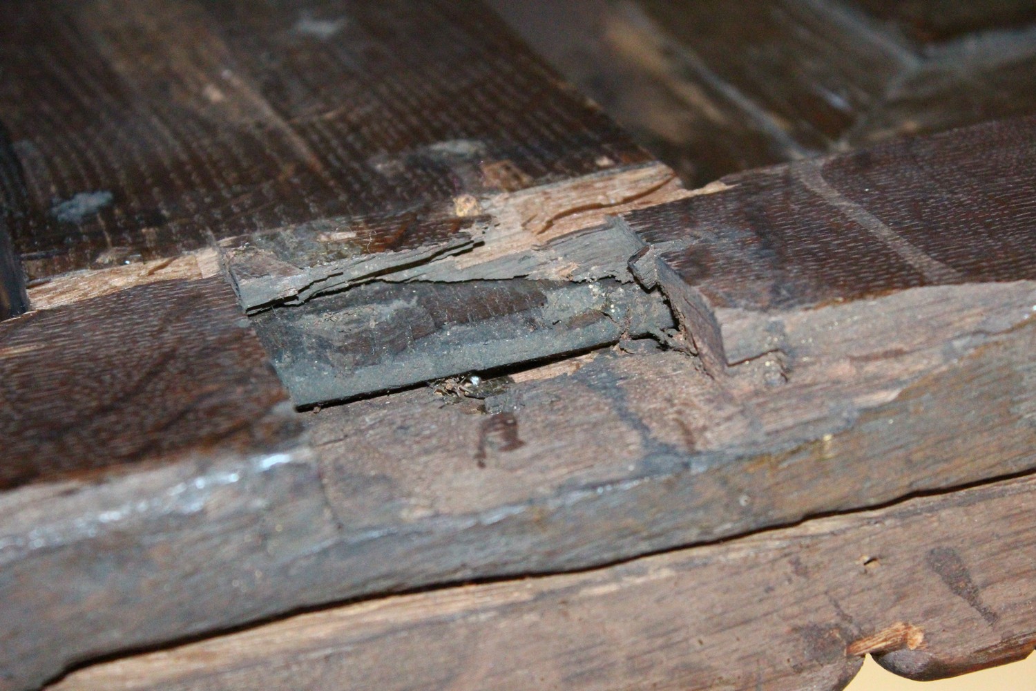 A LARGE 17TH-18TH CENTURY FRENCH OAK COFFER, with two plain panels to the top and two carved - Image 13 of 13