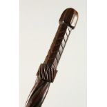 A CARVED WOOD WALKING STICK with entwined stem. 85cms long.