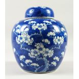 A 19TH CENTURY CHINESE BLUE & WHITE PORCELAIN PRUNUS GINGER JAR & COVER, the base with a double blue