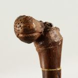 AN EDWARDIAN WALKING STICK, the handle carved as a HIPPOPOTAMUS. 93cms long.