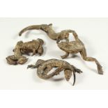 A COLLECTION OF COLD CAST BRONZE FROGS AND LIZARDS.