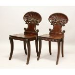 A GOOD PAIR OF REGENCY HALL CHAIRS, with carved shell backs, solid seats, on curving legs,