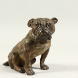 A VIENNA STYLE COLD PAINTED BRONZE OF A DOG. 13cms long.