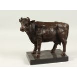 A BRONZE COW on a black marble base. 30cms long.
