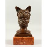 FRANZ BERGMANN A BRONZE BUST OF A FOX. Signed, on a square marble base.