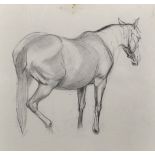 Charles Sutherland Brownlow (Early 20th Century) British. Study of a Horse, Pencil, Inscribed on the