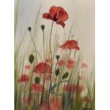 James Hall Flack (1941- ) British. "Mid Summer Poppies", Watercolour, Signed, and Inscribed on a
