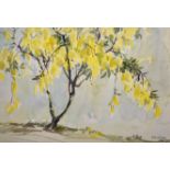 Yong Mun Sen (1896-1962) Malaysian. A Yellow Blossom Tree, Watercolour, Signed and Dated 1949,
