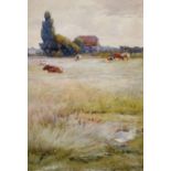 Charles Henry Rogers (1930- ) British. Cattle Grazing in a Meadow, Watercolour, Signed, 10.5" x 7.