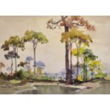 Yong Mun Sen (1896-1962) Malaysian. A Water Pool surrounded by Trees, Watercolour, Signed and