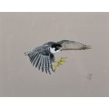 K... J... Wood (20th Century) British. 'Peregrine Falcon (landing)', Mixed Media, Signed and Dated