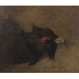 19th Century English School. Study of a Hanging Capercaillie, Oil on Board, Unframed, 15.5" x 13.