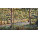 Henry James Sage (1868-1953) British. A Woodland Scene with Bluebells, Watercolour, Signed, 10" x