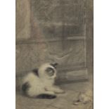 Attributed to Henriette Ronner (1821-1909) French. Study of a Kitten, Pencil, 7.5" x 5.5".