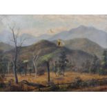 A... M... Jones (19th Century) British. A South American Landscape, Oil on Canvas, Signed, 20" x