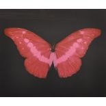 Damien Hirst (1965- ) British. "Happy Christmas 2008", a Red and Pink Butterfly, Etching, Signed,