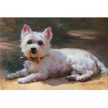 Konstantin Razumov (1974- ) Russian. "Westie", Study of a Terrier, Oil on Canvas, Signed in