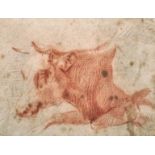 Circle of Paulus Potter (1625-1654) Dutch. Study of a Cows Head, Sanguine, best a Signature in