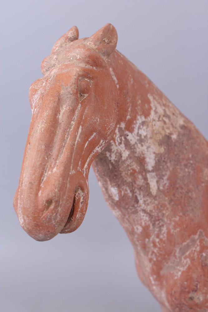 A GOOD CHINESE TANG TERRACOTTA POTTERY HORSE. 35cm high, 35 cm long. - Image 2 of 6