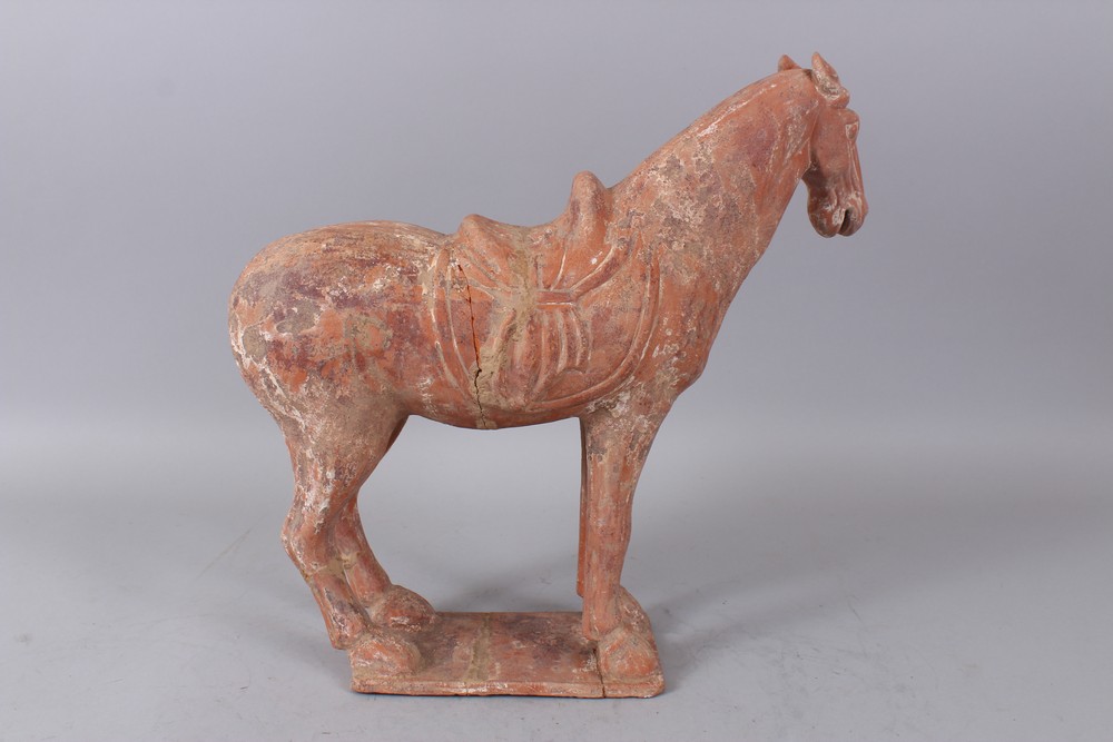 A GOOD CHINESE TANG TERRACOTTA POTTERY HORSE. 35cm high, 35 cm long. - Image 4 of 6