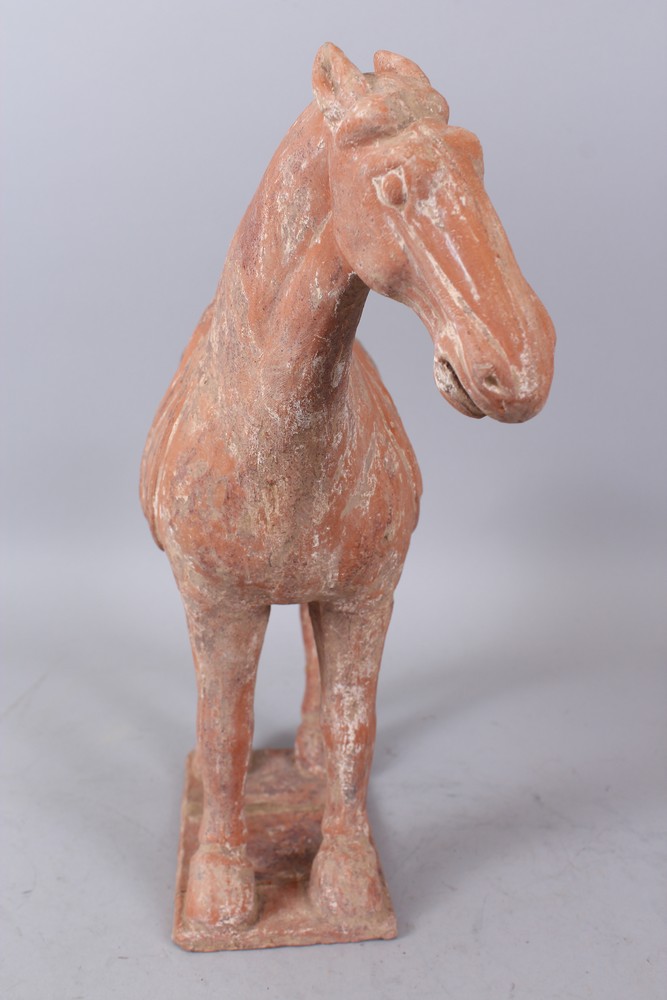 A GOOD CHINESE TANG TERRACOTTA POTTERY HORSE. 35cm high, 35 cm long. - Image 3 of 6