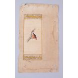 AN 18TH-19TH CENTURY INDO PERSIAN MINIATURE PAINTING OF A BIRD, the reverse side with calligraphy,