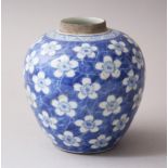 A 19TH CENTURY CHINESE BLUE & WHITE PORCELAIN PRUNUS GINGER JAR, 12cm high x 12cm wide.