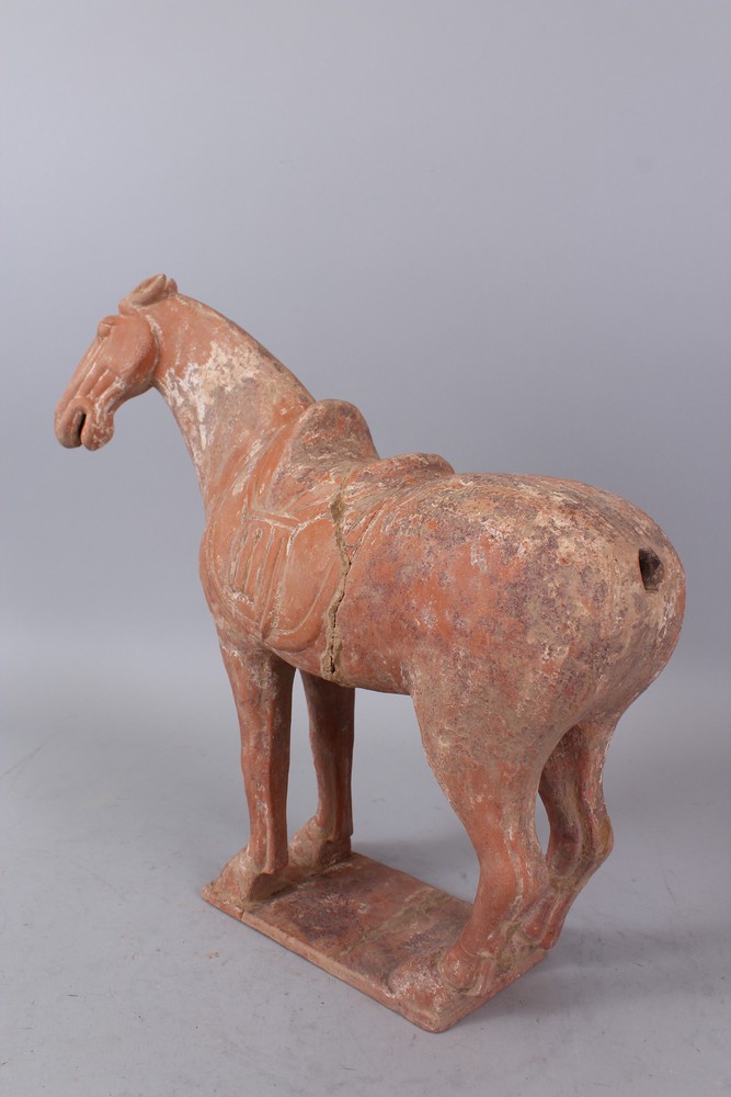 A GOOD CHINESE TANG TERRACOTTA POTTERY HORSE. 35cm high, 35 cm long. - Image 5 of 6