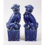 A PAIR OF 19TH / 20TH CENTURY CHINESE BLUE GROUUND PORCELAIN LION DOGS, with their front paw