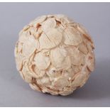 A GOOD JAPANESE MEIJI PERIOD CARVED IVORY TERRAPIN CARVED BALL / OKIMONO , the okimono carved in