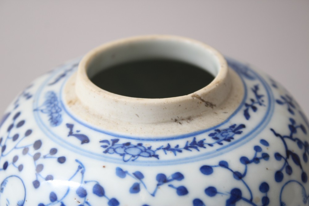 A 19TH CENTURY CHINESE BLUE & WHITE PORCELAIN GINGER JAR, decorated with scenes of boys, birds and - Image 5 of 7